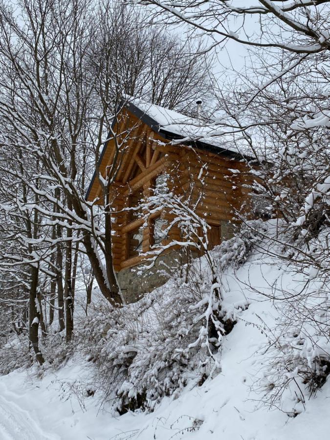 Chalet Pidstromom Микуличин Экстерьер фото