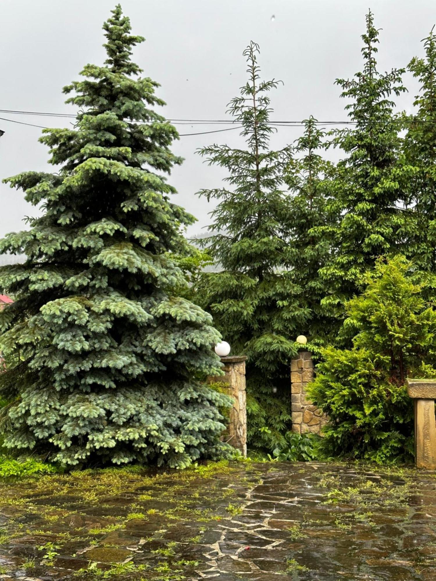 Chalet Pidstromom Микуличин Экстерьер фото
